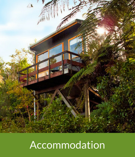 accommodation tauhara