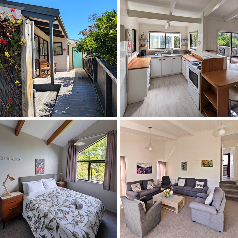 collage.kereruV2.2025