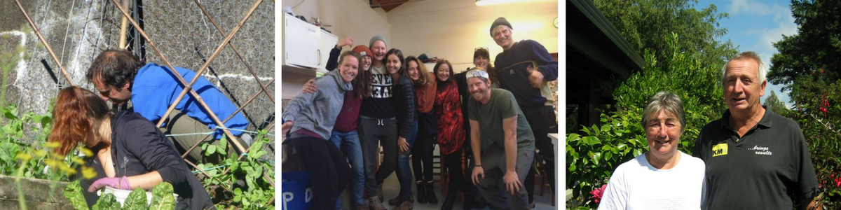 volunteer at tauhara